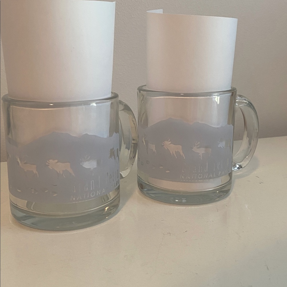 Grand Teton National Park Frosted Glass Mugs Made in USA - Picture 2 of 5